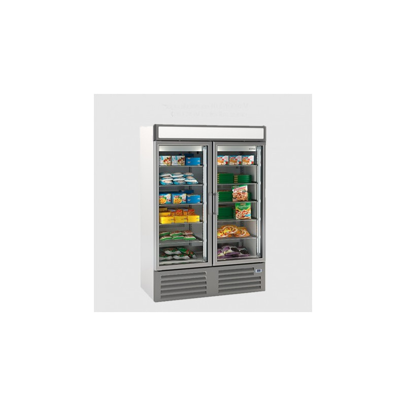 Buy Infrico Nec1002Fv Double Door Upright Display Freezer in the UAE